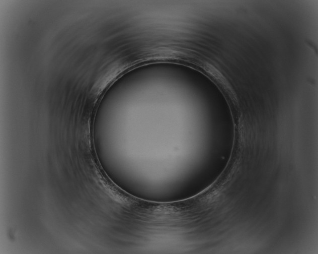 X0000101420842200807141152