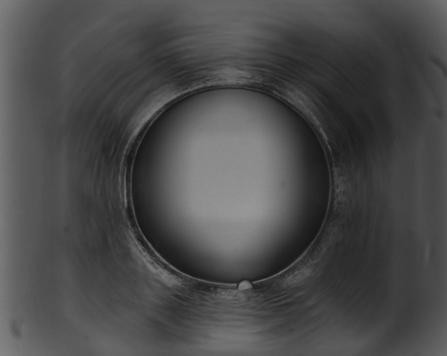 X0000101420843200807141152