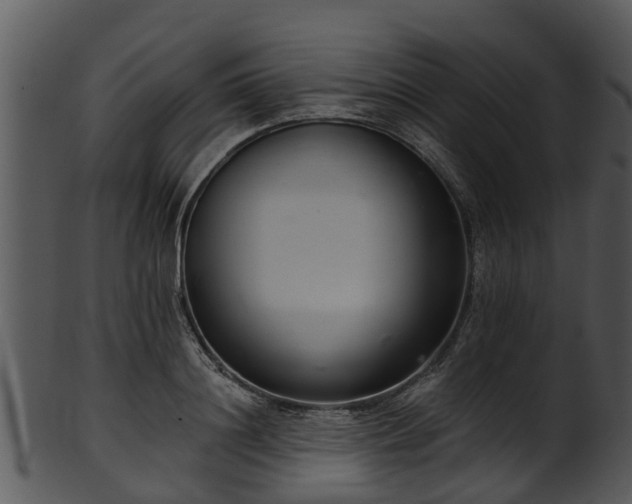 X0000101420844200807141152