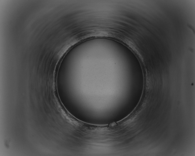 X0000101420845200807141152