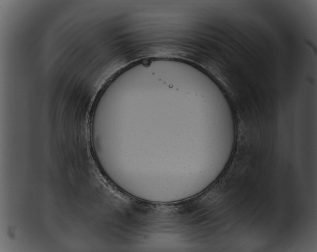 X0000101420848200807141152