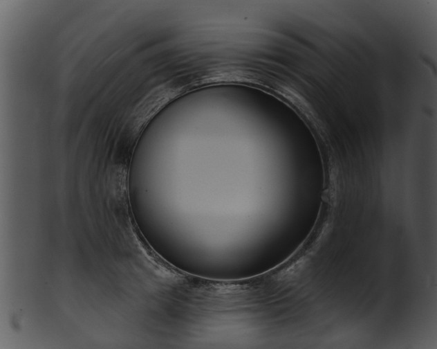 X0000101420849200807141152