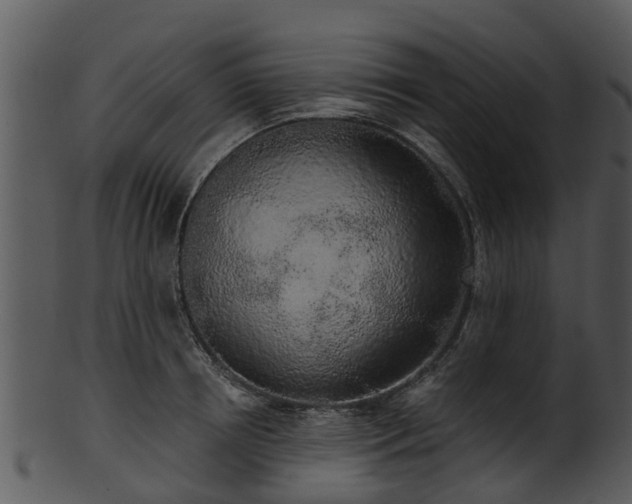 X0000101420850200807141152