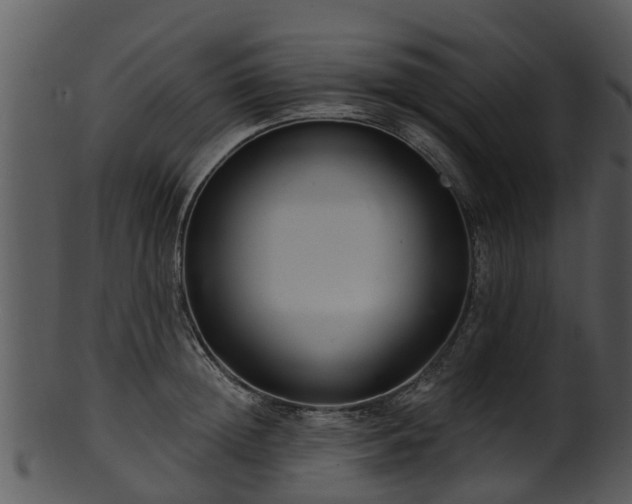 X0000101420852200807141153