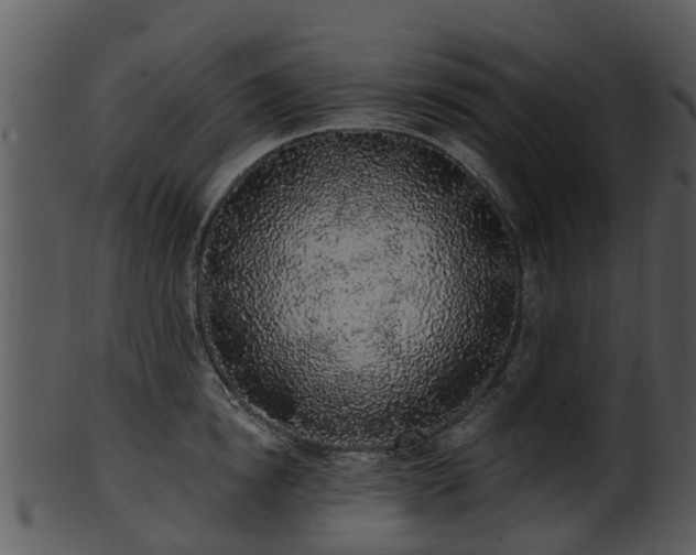 X0000101420854200807141153