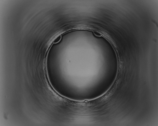 X0000101420855200807141153