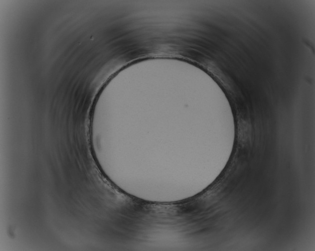 X0000101420856200807141153