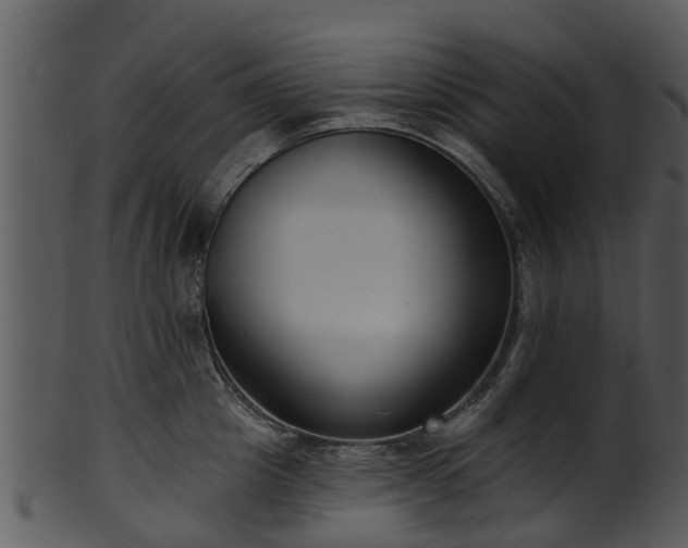 X0000101420857200807141153