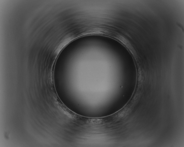 X0000101420858200807141153