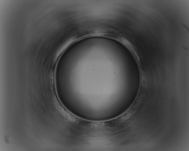 X0000101420859200807141153