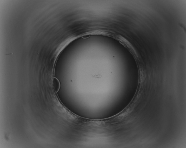 X0000101420860200807141153