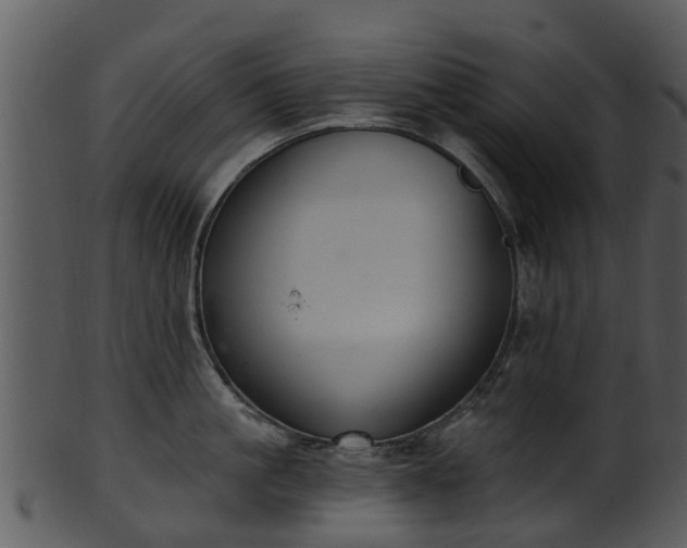 X0000101420861200807141153