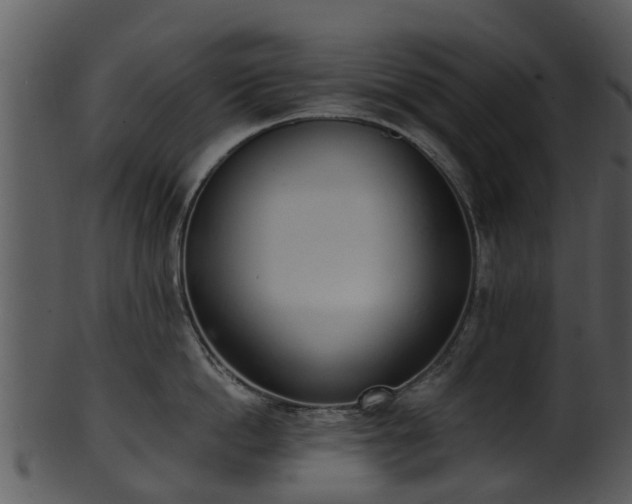 X0000101420862200807141153