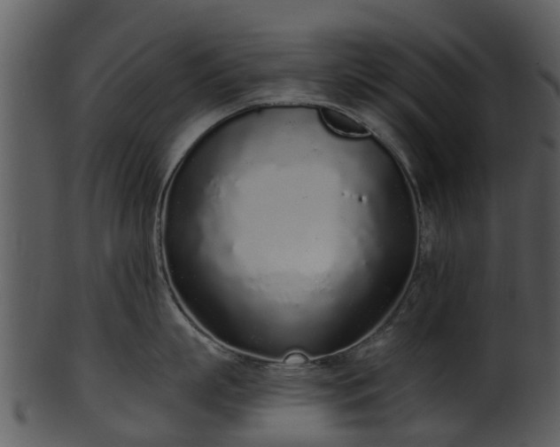 X0000101420863200807141153