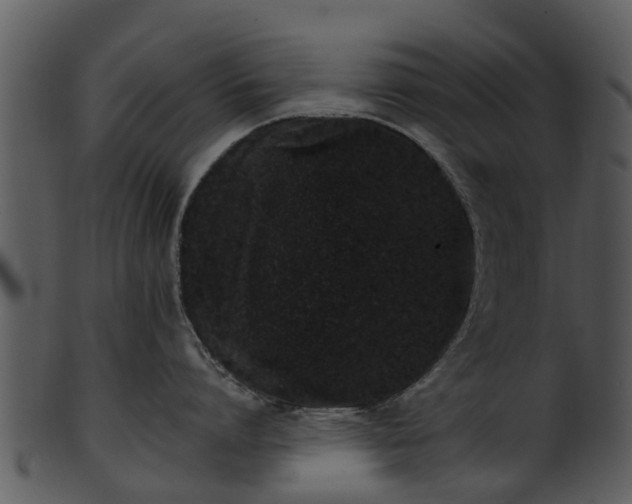 X0000101420864200807141153