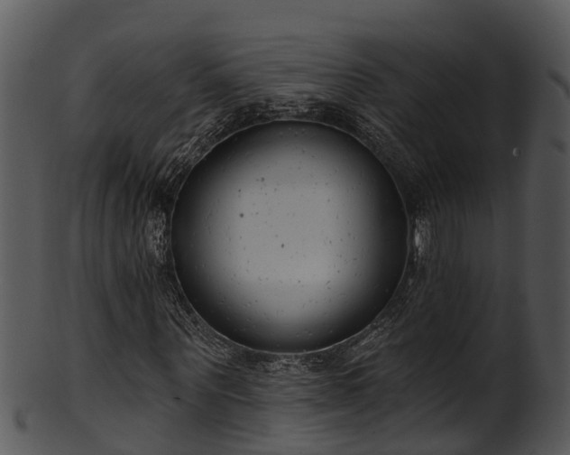 X0000101420867200807141152