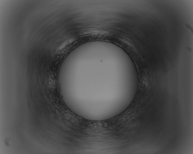 X0000101420869200807141152