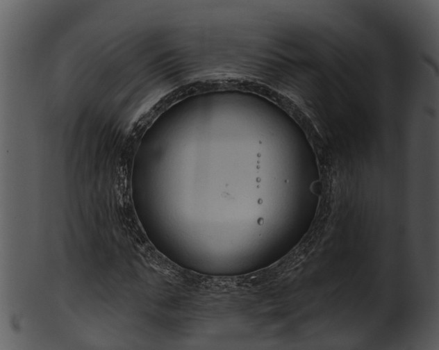 X0000101420871200807141152
