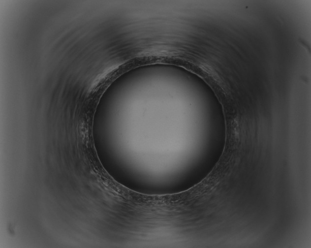 X0000101420872200807141152