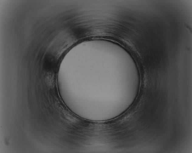 X0000101420873200807141152