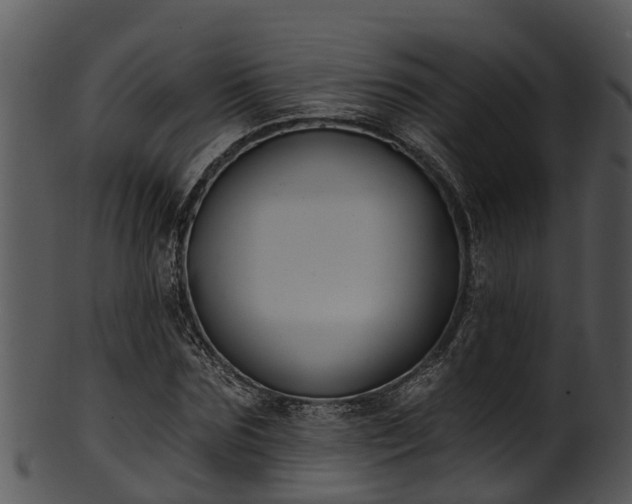 X0000101420875200807141152