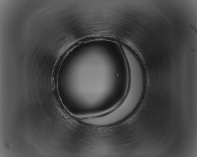 X0000101420876200807141152
