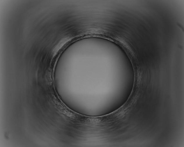 X0000101420878200807141152