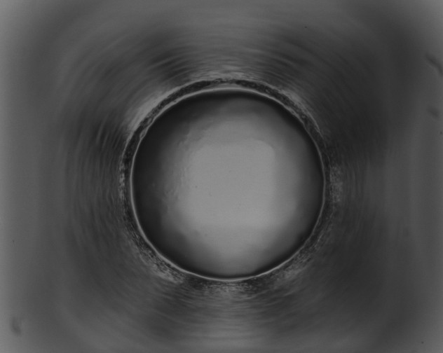 X0000101420879200807141152