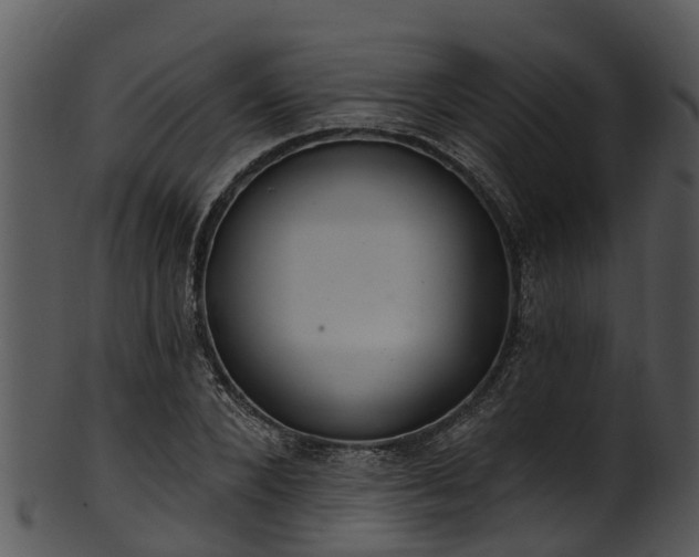 X0000101420880200807141152