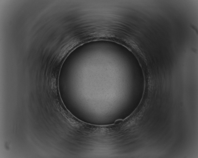 X0000101420881200807141152