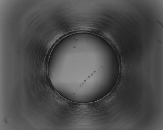 X0000101420883200807141152