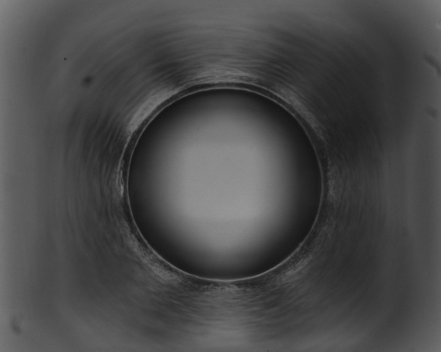 X0000101420885200807141152