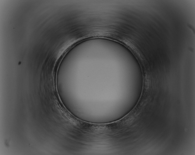 X0000101420886200807141152