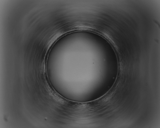 X0000101420891200807141152