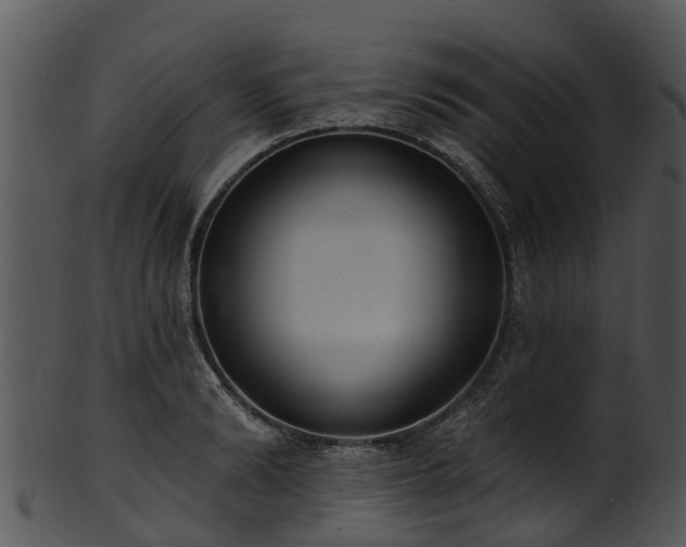 X0000101420894200807141152