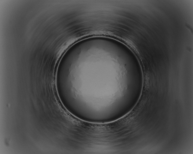 X0000101420895200807141152