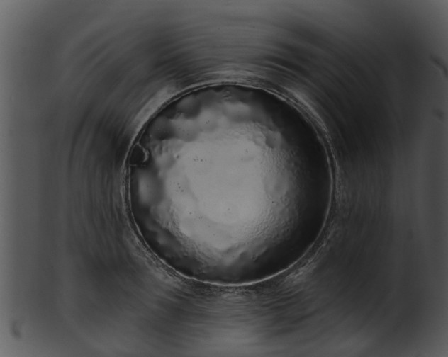 X0000101420899200807141152