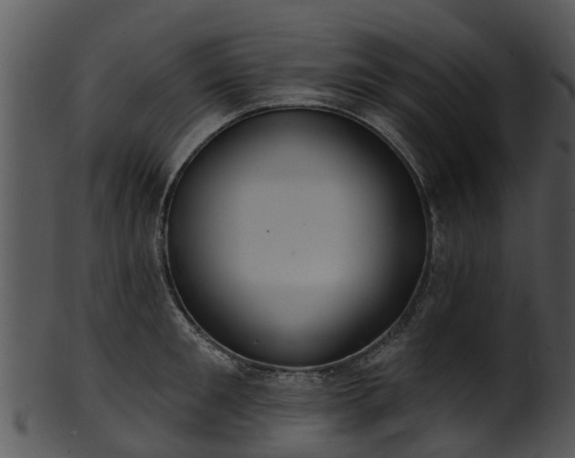 X0000101420901200807141152