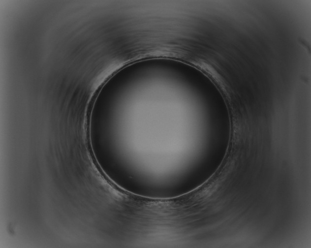 X0000101420902200807141151