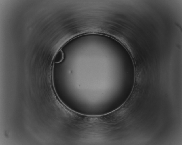 X0000101420903200807141151