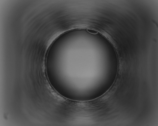 X0000101420904200807141151
