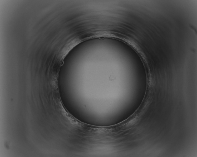 X0000101420905200807141151