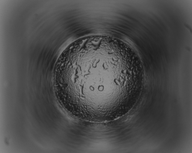 X0000101420907200807141151