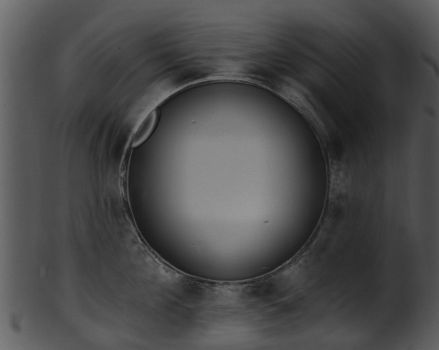 X0000101420908200807141151
