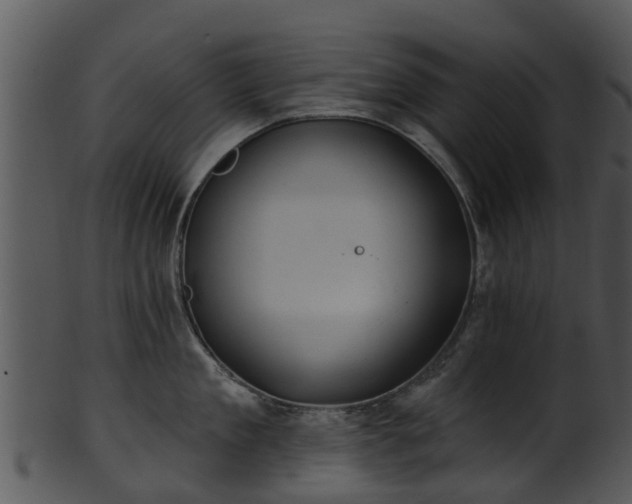 X0000101420909200807141151