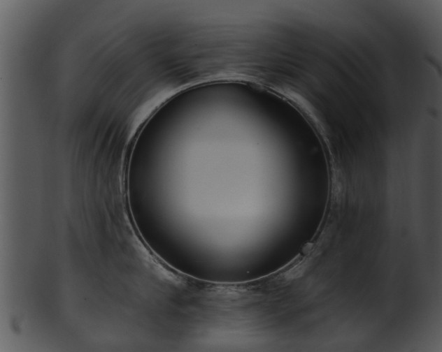 X0000101420910200807141151