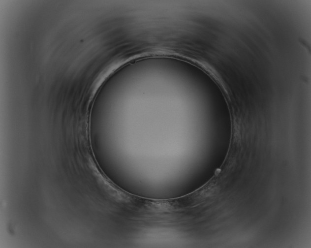 X0000101420911200807141151