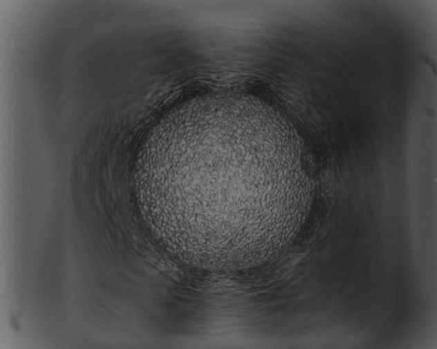 X0000101420913200807141151
