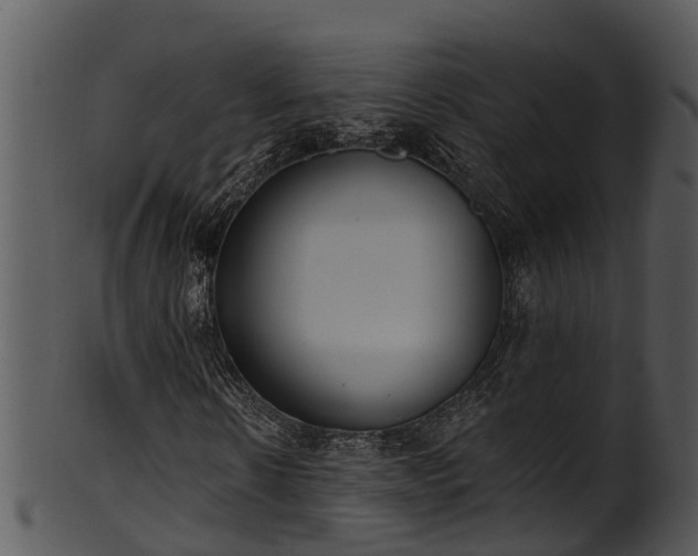 X0000101420914200807141151