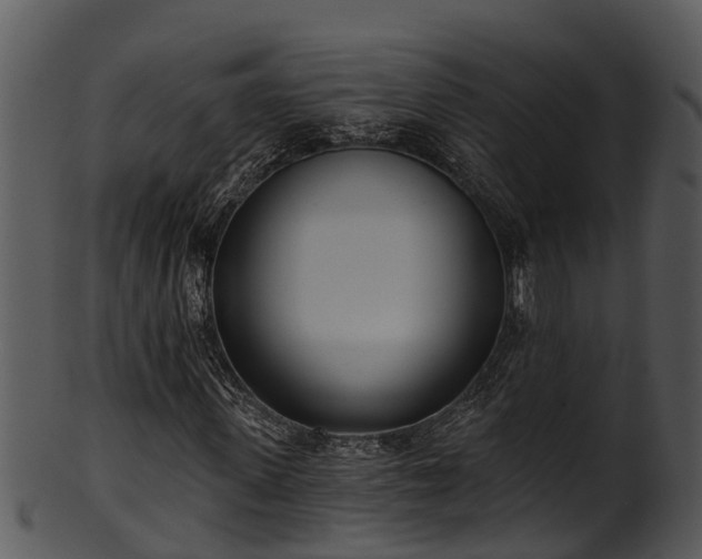 X0000101420915200807141151